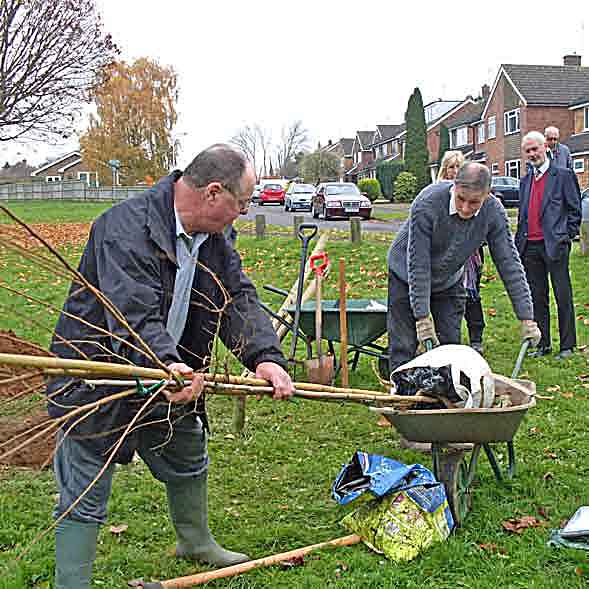 blokes planting a tree