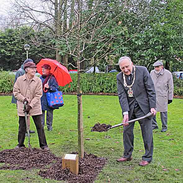 Jubilee tree planting ceremony