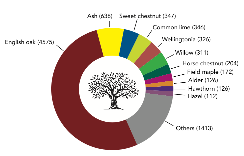 pie chart showing distribution of tree species