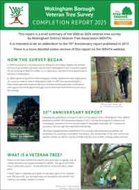 front cover of Survey Report