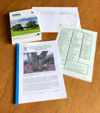 survey documentation