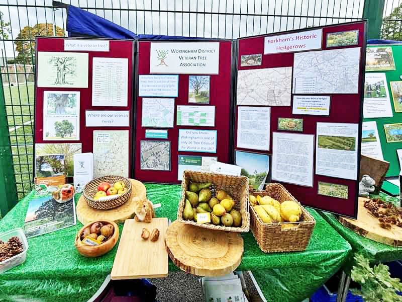 WDVTA table with fruit and posters