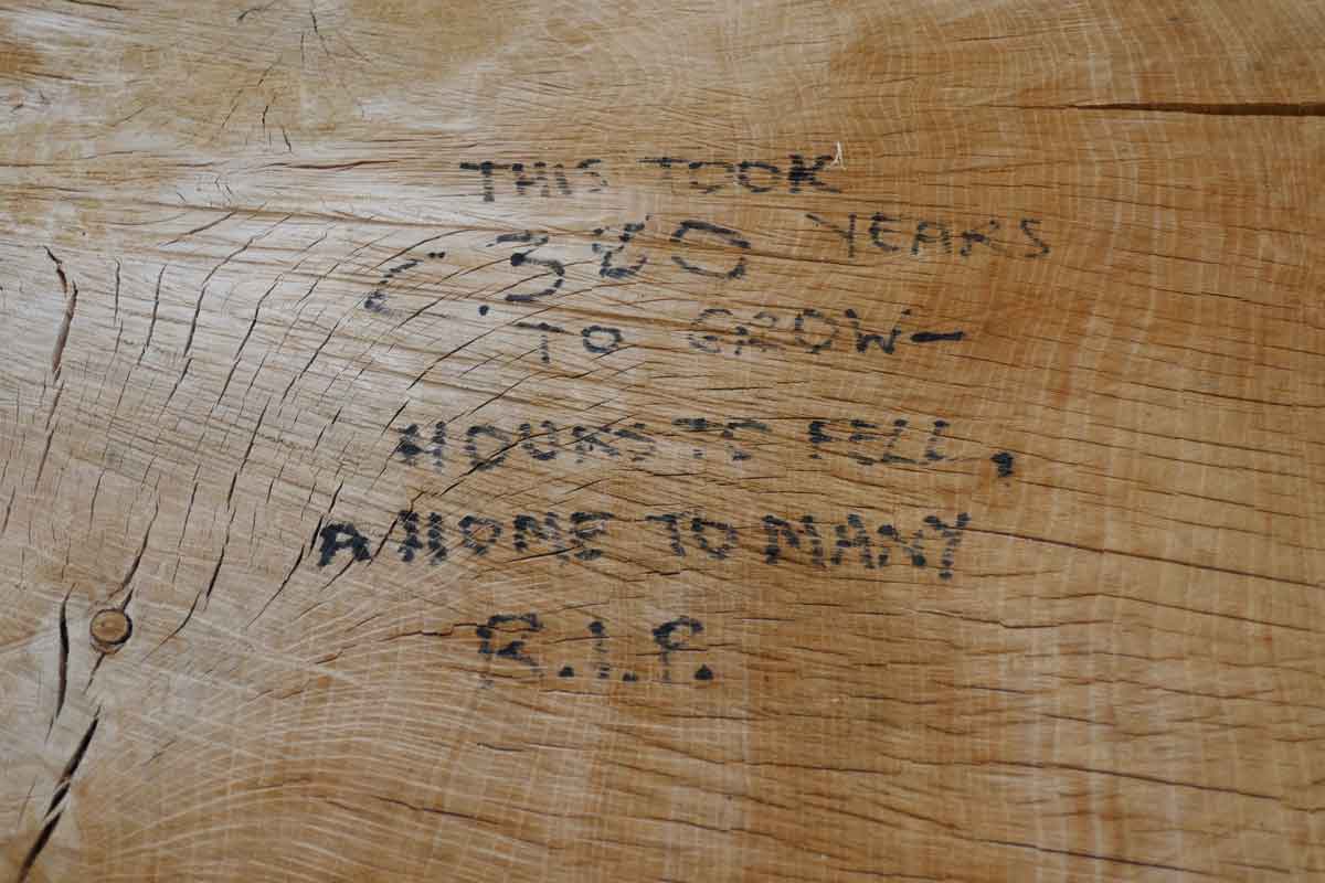inscription on oak stump