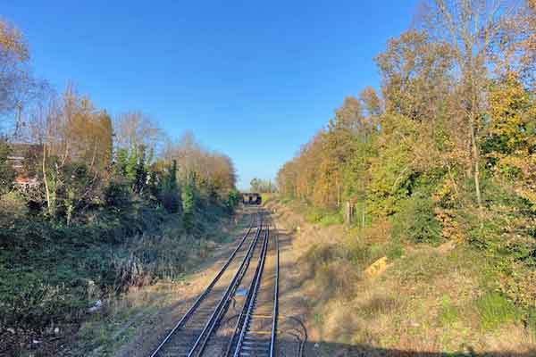 railway line winter vegetation