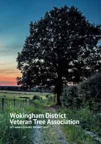 front cover of 10th Anniversary Report