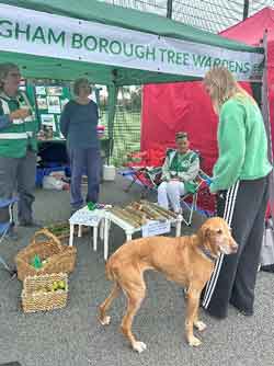 Stall at outdoor event