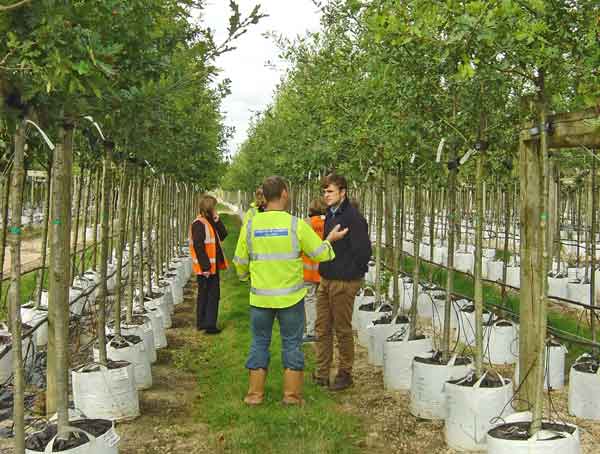 Barchams Nursery