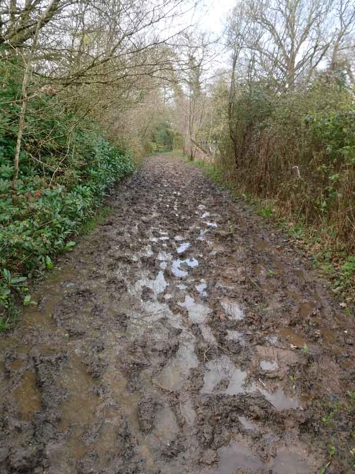muddy path