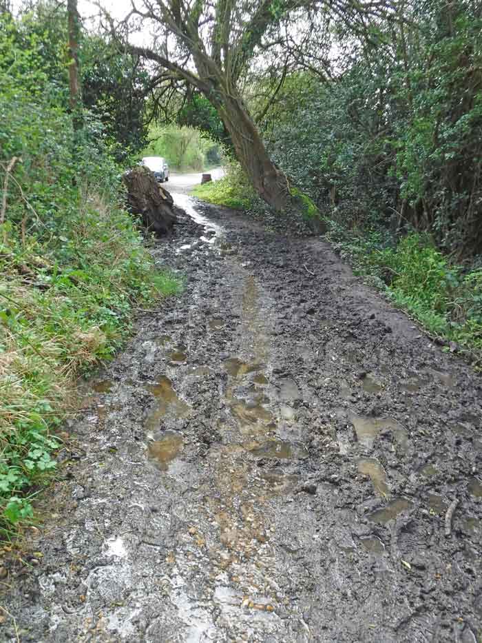muddy path