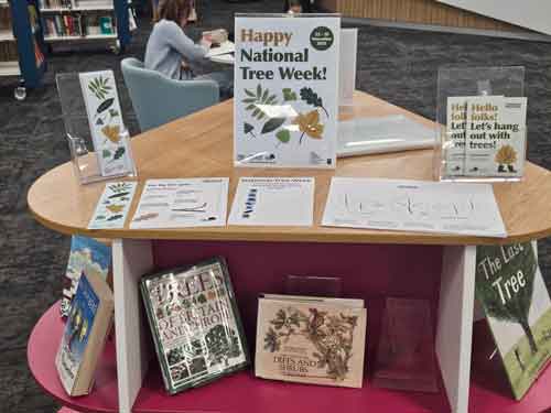 display of tree books in library