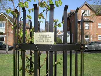 Spragg memorial tree image