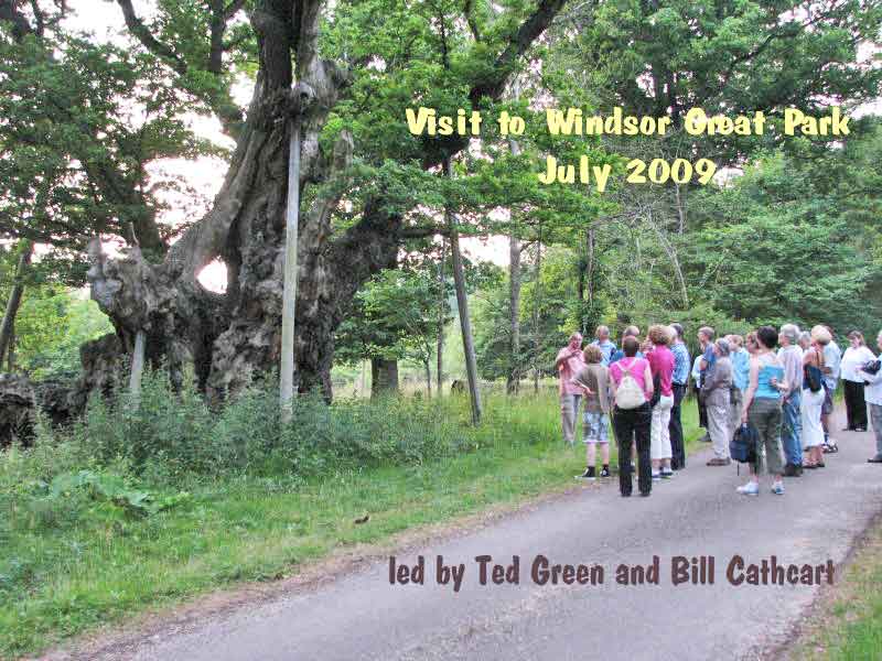 title slide for Wndsor Great Park event presentation