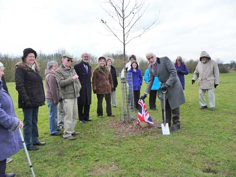 Jubilee tree 11 planting