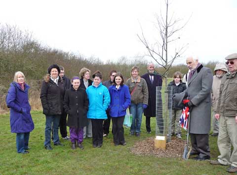 Jubilee tree 13 planting