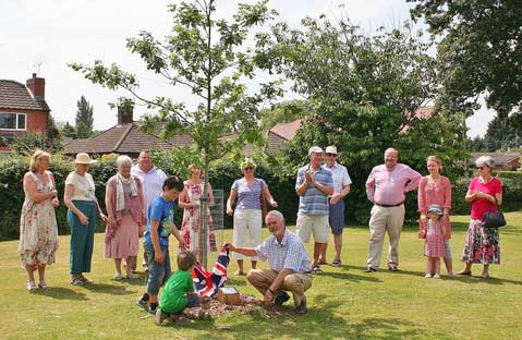 Jubilee tree 47 planting