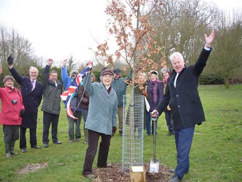 Jubilee tree 59 planting