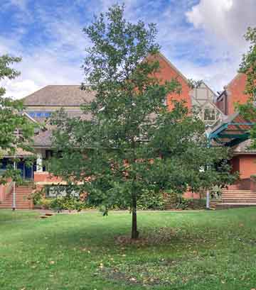 Jubilee tree 1 after 10 years